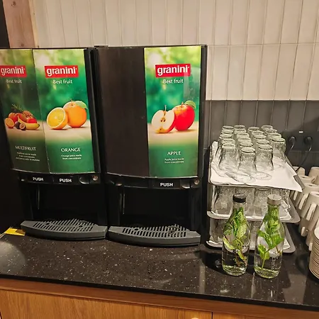 欧元酒店 4* 帕尔杜比采